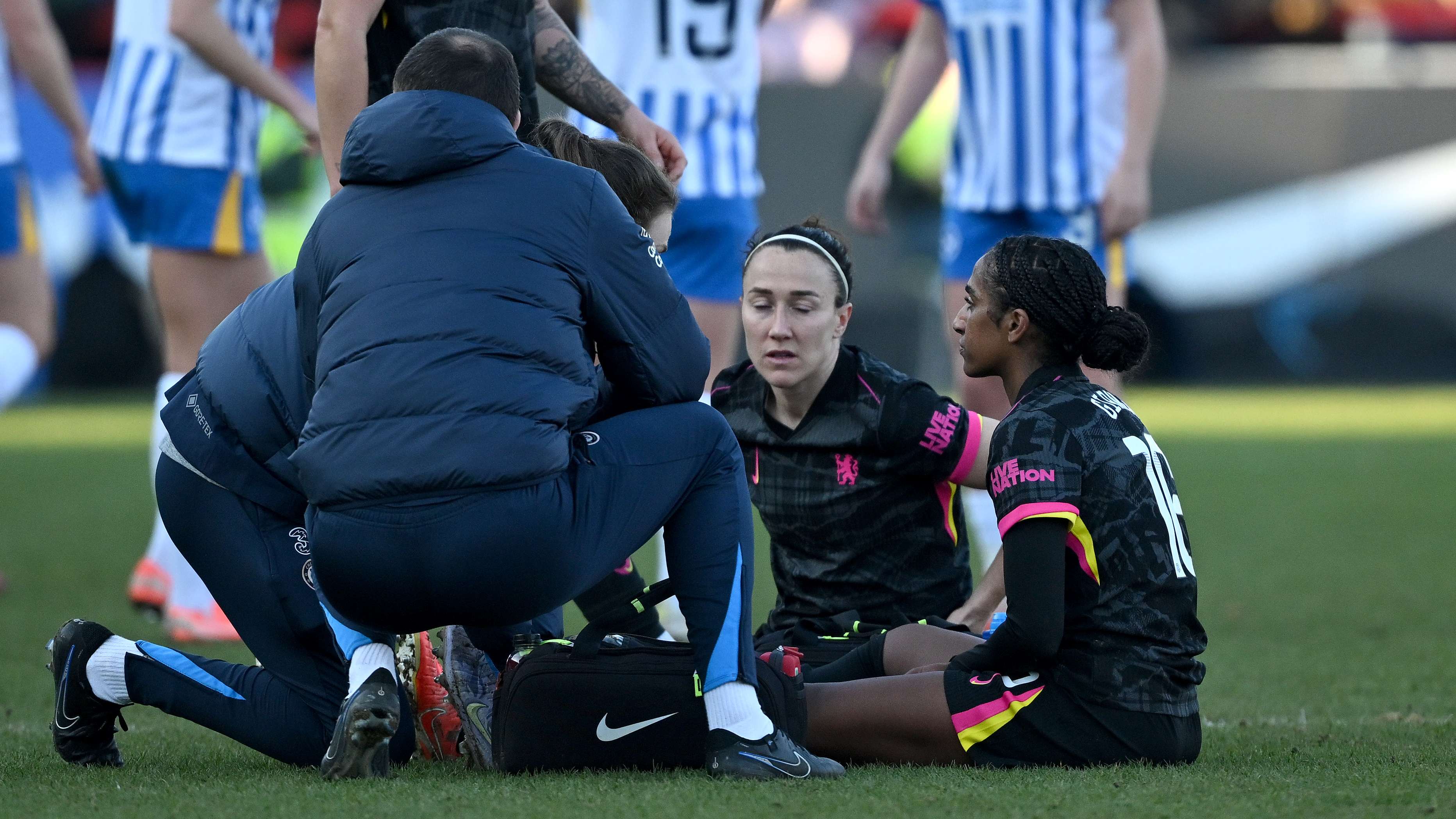 到了一个新 到了一个新